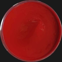 20 Litre Supercover Textile Fabric Screen Printing Ink - Red